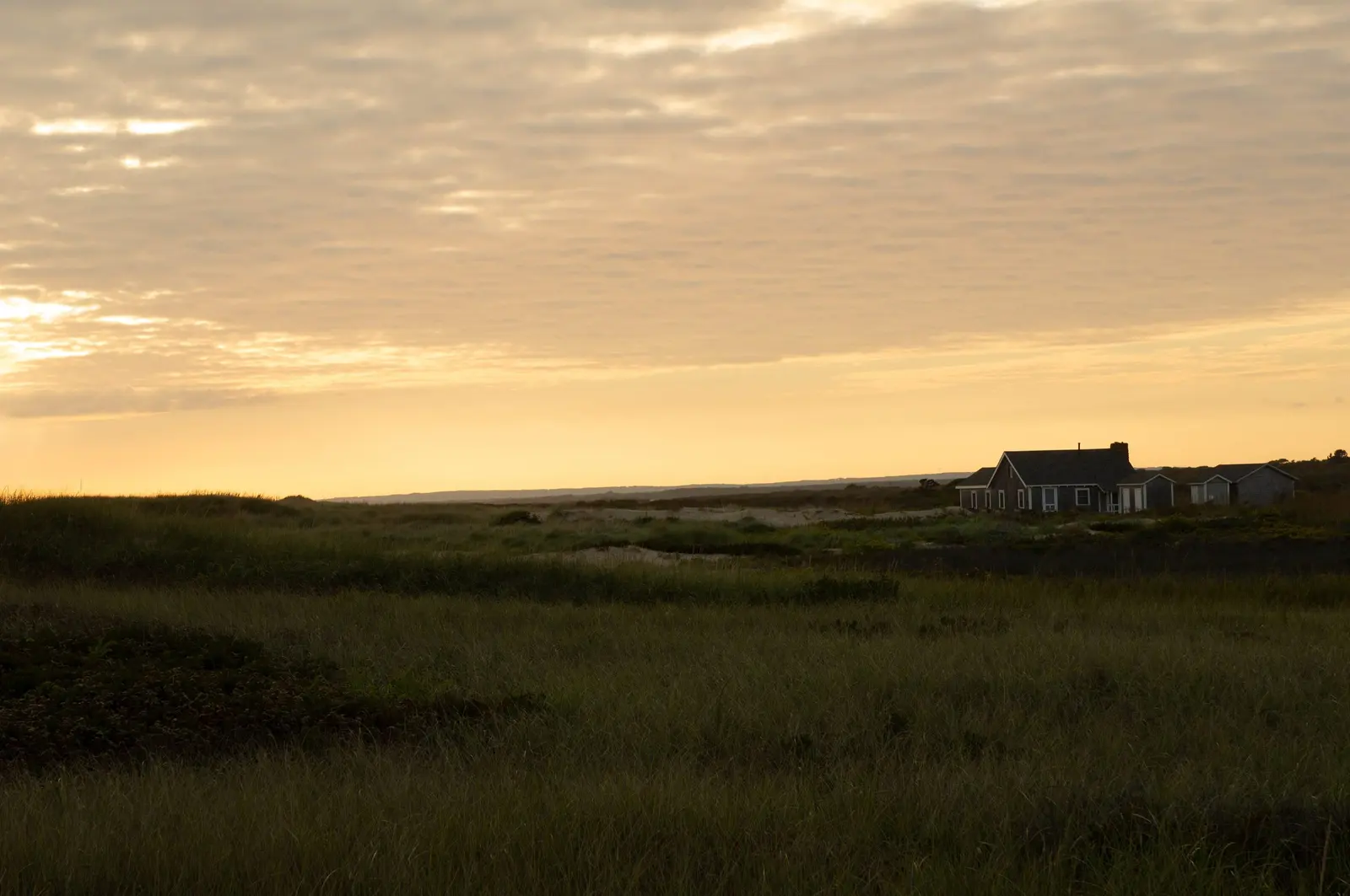Dune grass and a shingled cottage, last light